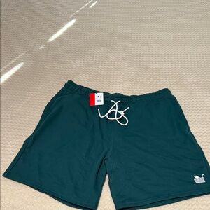 Puma Men's Teal Athletic Shorts